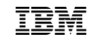 IBM Logo img